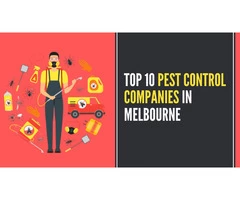 Top 10 Pest Control Companies In Melbourne