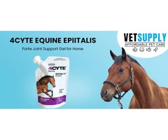Buy 4CYTE Equine Epiitalis Forte Joint Support Gel for Horse 250 ml Online