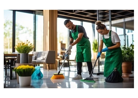 Domestic Cleaning