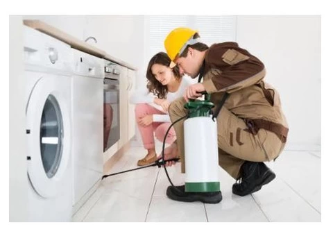 Termite Inspections Gold Coast