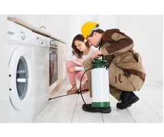 Termite Inspections Gold Coast