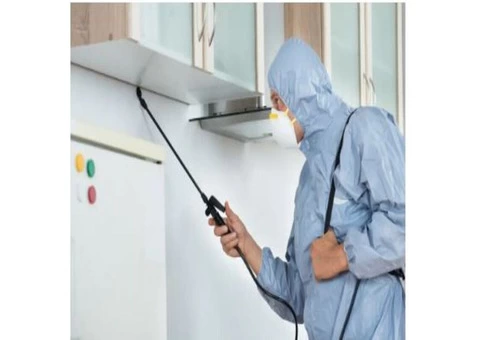 Termite Inspections Gold Coast - 2/2