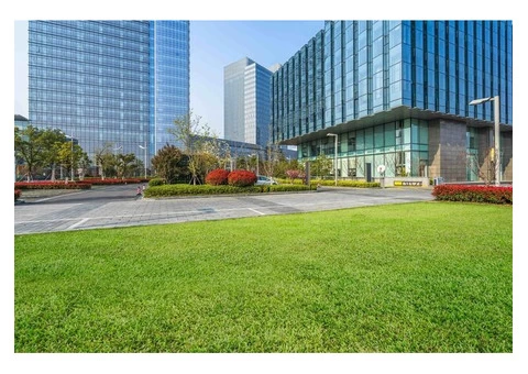 Landscape Construction Trends: What's New in Outdoor Design