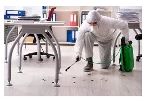 Get the Best Pest Control Services and Make your Living Space Safe
