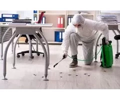 Get the Best Pest Control Services and Make your Living Space Safe