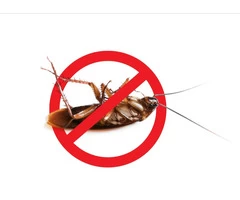 Pest control Service Melbourne Wide