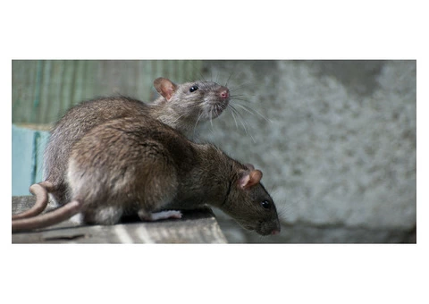 Pest control Service Melbourne Wide - 4/4