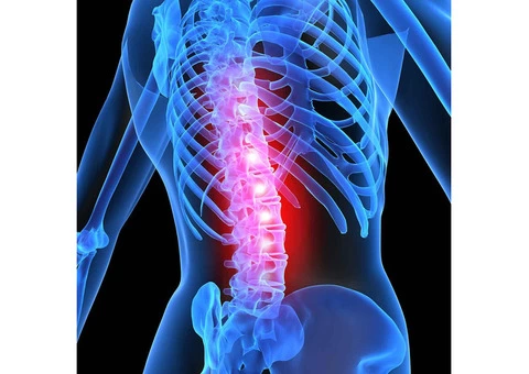 Enhance Your Well-being with Expert Chiropractic Care in Sydney, NSW
