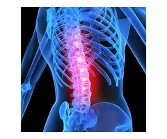 Enhance Your Well-being with Expert Chiropractic Care in Sydney, NSW