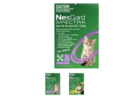 Nexgard Spectra Spot On for Cats | VetSupply