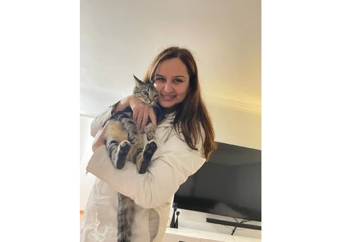 Vet Clinics - Caring for your pet like they're our own