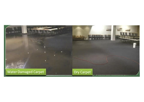 Premier Water Damage Carpet Cleaning in Melbourne