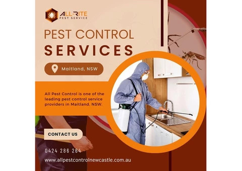 Pest Control Maitland