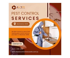 Pest Control Maitland
