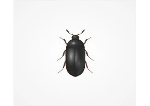 VIP Pest Control - The Best Pest Control in Melbourne for Your Home - 2/2