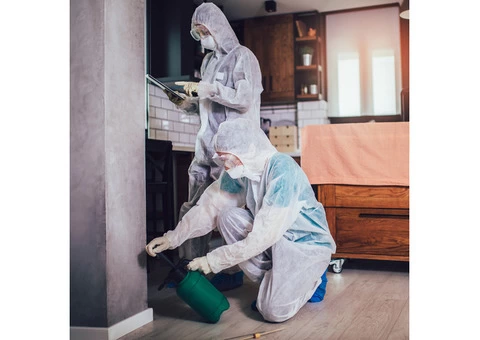 Top-Rated Pest Control Services: Your Ultimate Solution for a Pest-Free Home - 1/3