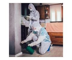 Top-Rated Pest Control Services: Your Ultimate Solution for a Pest-Free Home