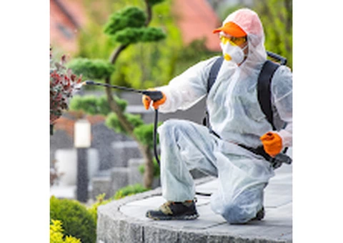 Top-Rated Pest Control Services: Your Ultimate Solution for a Pest-Free Home - 2/3