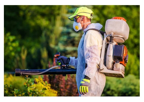 Best Pest Control Geelong
