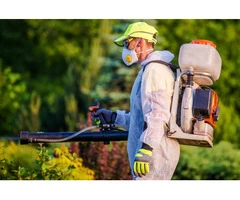 Best Pest Control Geelong