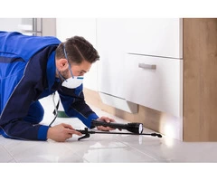 Expert Spider Pest Control Services in Melbourne - Infinity Pest Solutions