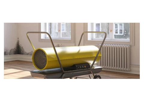 Say Goodbye to Mold with Drytech's Expert Mold Cleaning Services!