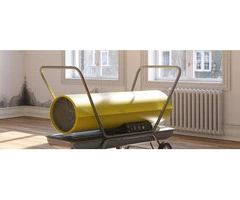 Say Goodbye to Mold with Drytech's Expert Mold Cleaning Services!