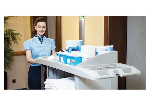 Experience Pristine Carpets with Professional Cleaning Services