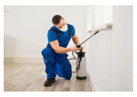 Expert Cockroach Control Services in Melbourne - Infinity Pest Solutions - 2/3