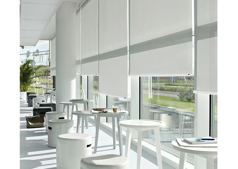 Protection Against Sunlight Guaranteed With Dual Roller Blinds