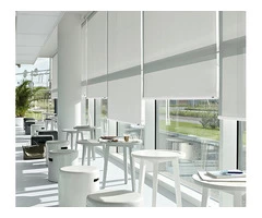 Protection Against Sunlight Guaranteed With Dual Roller Blinds