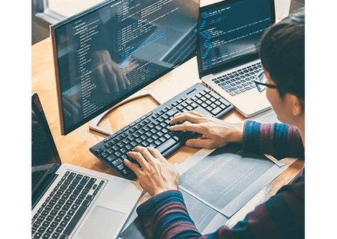 Get Professional Website Design Services in Sydney - Beedev