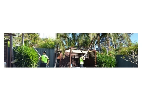 Top-Notch Tree Trimming Services in Brisbane