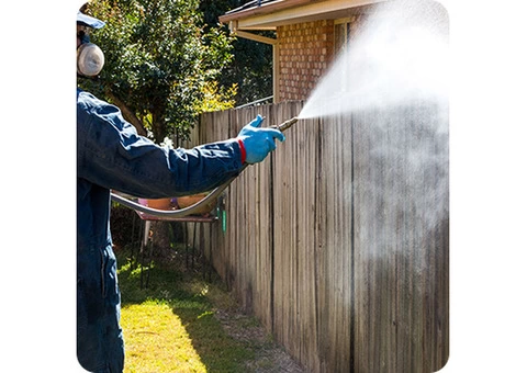 Are You Tired of Unwanted Pests Invading Your Home in Melbourne? - 3/3