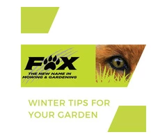 In Sydney Gutter Cleaning Services