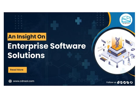 Why Enterprise Software Solutions Essential For Enterprise Business