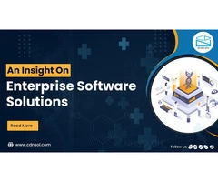 Why Enterprise Software Solutions Essential For Enterprise Business