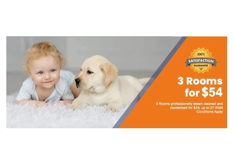 Top Carpet Cleaning Service in Keilor Lodge