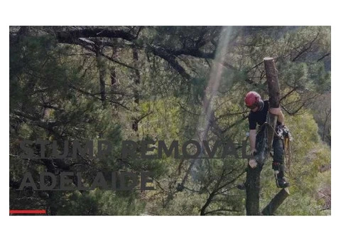 Stump Removal Adelaide