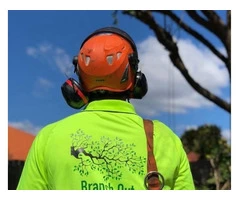 Tree Removal North Shore