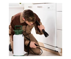 Professional Pest Control in NEWCASTLE: Expert Solutions for Critter-Free Spaces