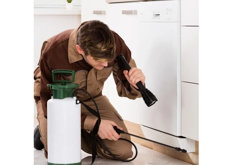 Prioritize Your Health: Choose Pest Control CAMERON PARK Services