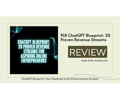 ChatGPT Blueprint: Your Roadmap to 20 Online Income Streams