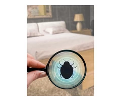 Same Day Pest Control Melbourne