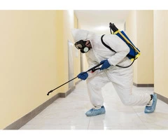 Pest Control In Point Cook
