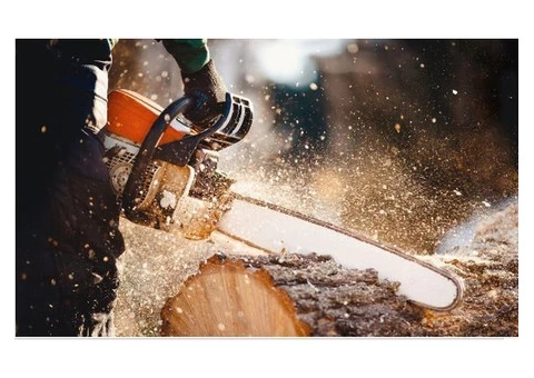Tree Lopping Sydney North Shore