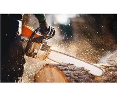 Tree Lopping Sydney North Shore