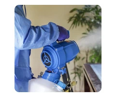 Looking for an Expert Pest Technician in Melbourne?