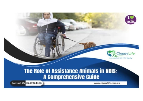 NDIS Providers in Central Coast | NDIS providers in Newcastle