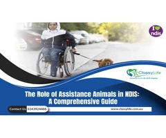 NDIS Providers in Central Coast | NDIS providers in Newcastle